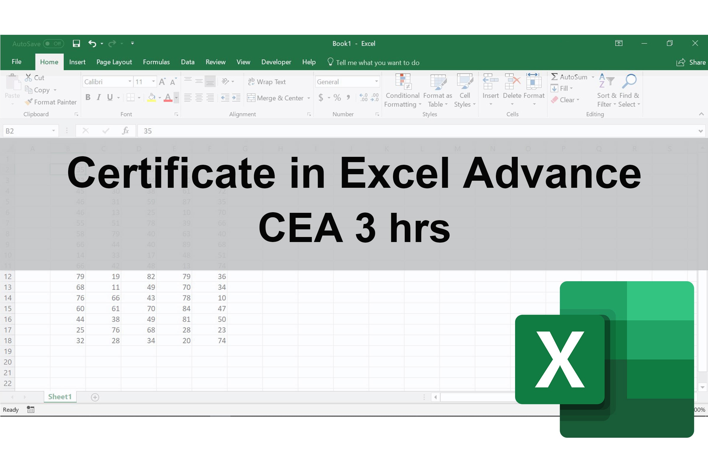 Certificate in Excel Advance